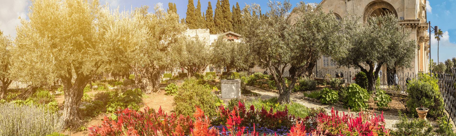 Visita ao Jardim do Getsêmani