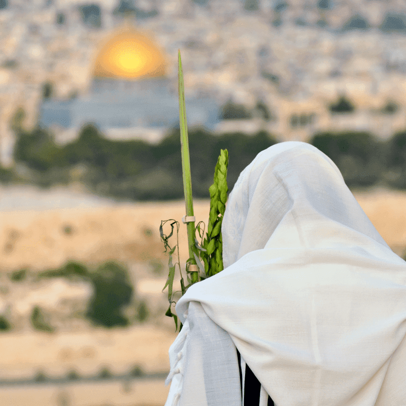 Fé, esperança e oração: a busca pela paz em Israel