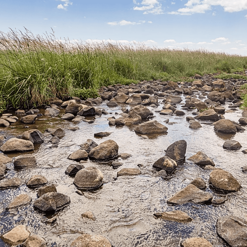 Gilgal em Israel - Terra Santa Viagens