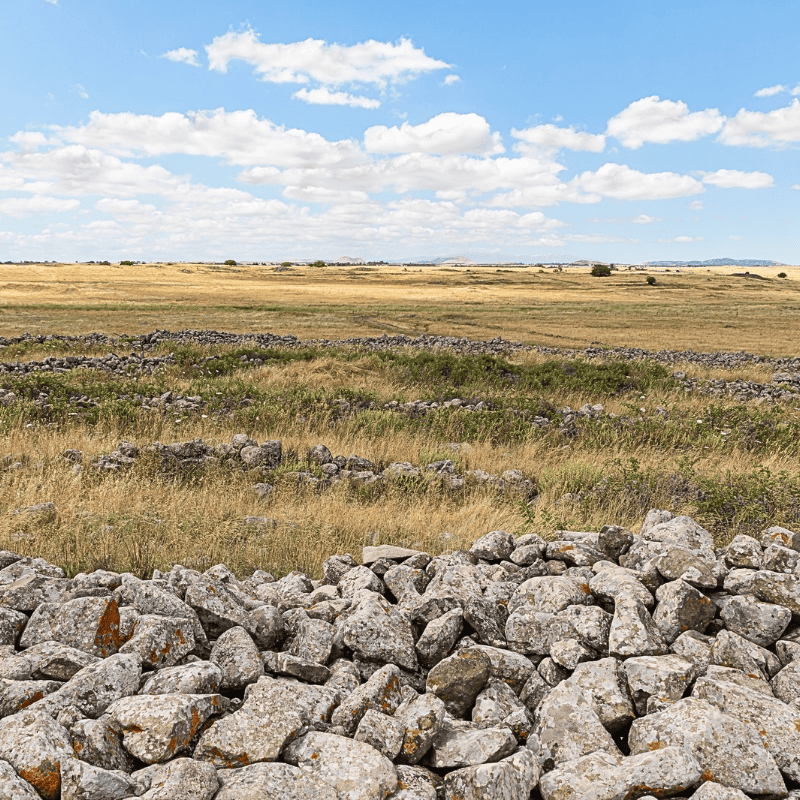 Conheça Gilgal em Israel