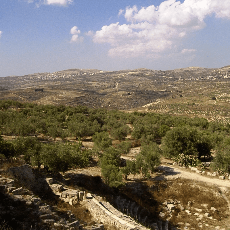 Samaria