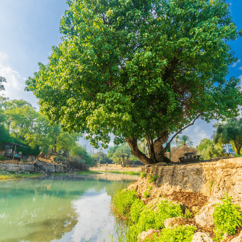 Fonte de Gideão