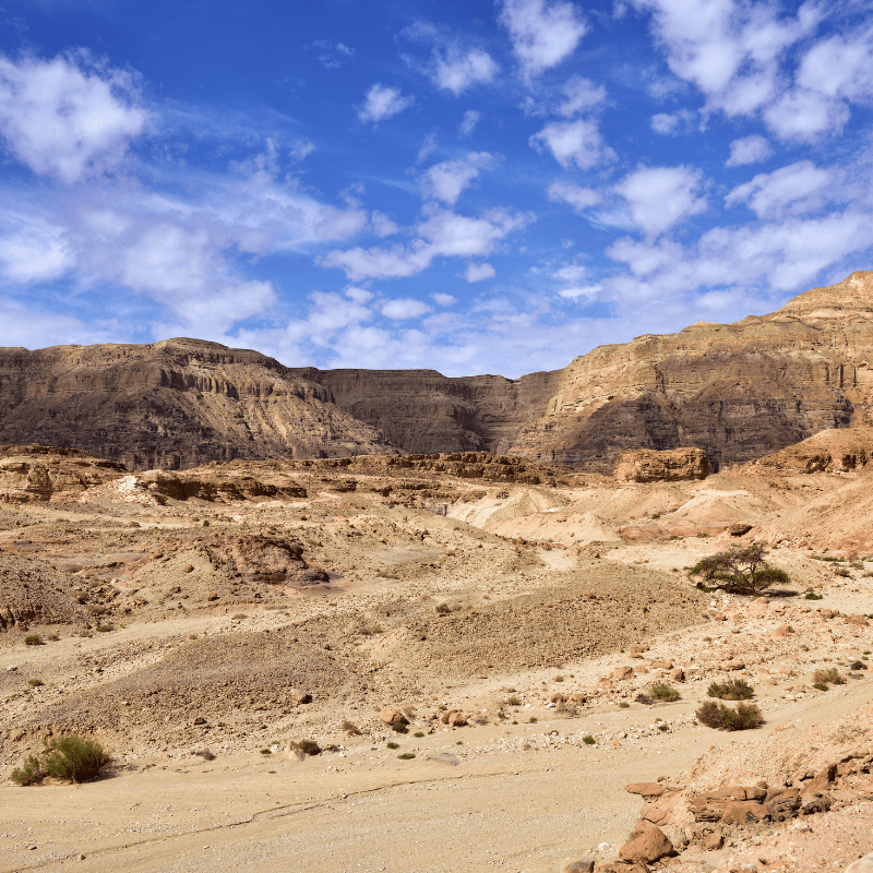 Deserto de Neguev