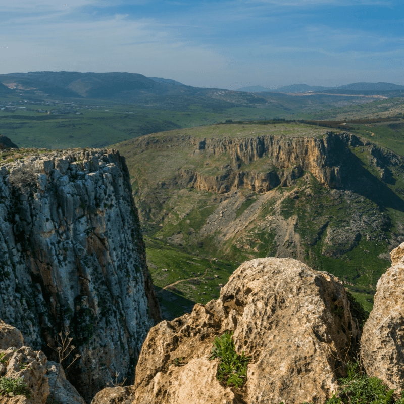 Monte Arbel