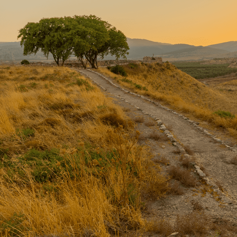 Tel Hazor