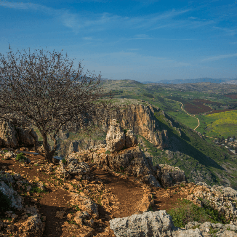 Israel Monte Arbel