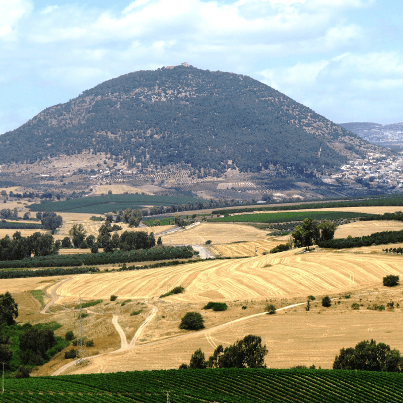 Monte Tabor