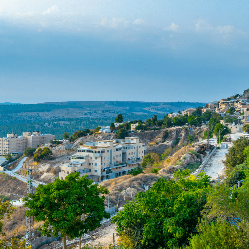 Safed